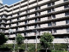 ヴェルザ北大阪