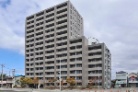 藤和浜寺公園ホームズ駅前通り