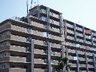 リーベスト泉大津アルザ通り