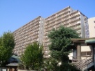藤和市岡ハイタウン