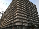 泉尾浜公園ハイライフ