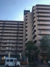 ノバカネイチ大正