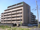 グローバル南草津