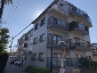 シャルム大路