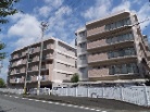 セレナ大和高田