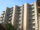 ドミール高田