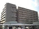 ウィルコート八木