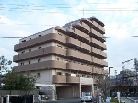 ディオフェルティ白鷺