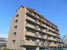 ベルク新金岡