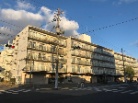フローラ堺
