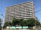 アイビーハイム福住東