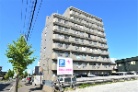 グローバル月寒東