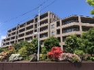 平岡フォレストタウンファミールハイツ13番館