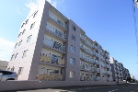 ロピア山の手通り