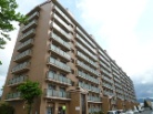 パシフィック新川