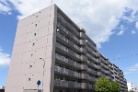 ロジェ山の手通り