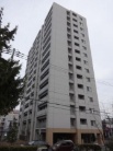ヴァーテクス札幌ラグシス