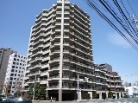 アルファレックス円山北五条通り