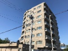 エクセルシオール山鼻14条