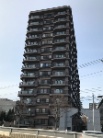 カーサ桑園