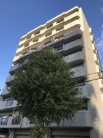 ライオンズマンション円山北