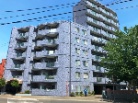 セザール円山北