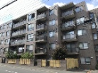 アークス宮の森