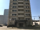 ラピス桑園