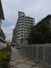 アムール吉塚