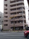 ピアセント大橋