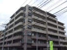 アムール姪浜南