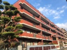 ロマネスク荒江