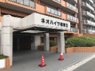 ネオハイツ福間2