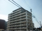 アムール和白3