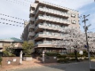 アルス長丘ウイングコート