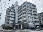 アムール那珂
