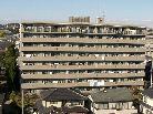 ナイスアーバンステイツ柏木