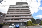 ライオンズガーデン柏木