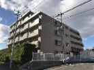 ダイアパレス泉崎