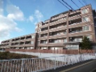 シティハウス泉中央の丘