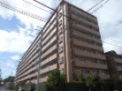 ライオンズガーデン南堀越