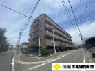 ソフィア日比野
