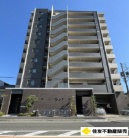 ���A�O���[�X���c���W�f���X