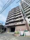 千代田アイリス