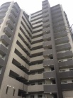 ライオンズ江南