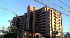 レインボー東白土