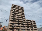 アピエス原