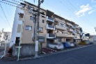 コモドゥエル平針