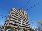 ライオンズマンション島田橋公園