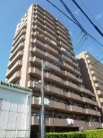 マルベリー原